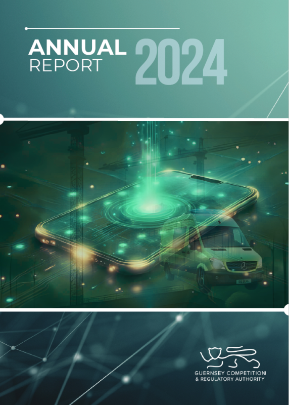 Annual Report 2024 image
